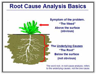 Learning lessons and root cause analysis – Broadleaf